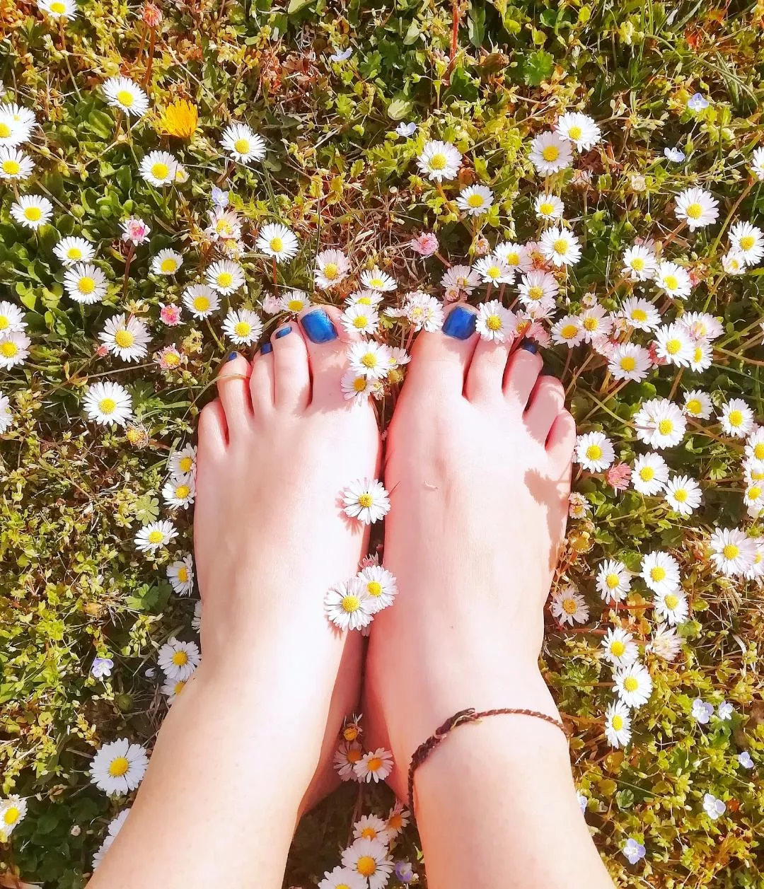 the grass tickles me 😏 posted by Ambers_littlefeet