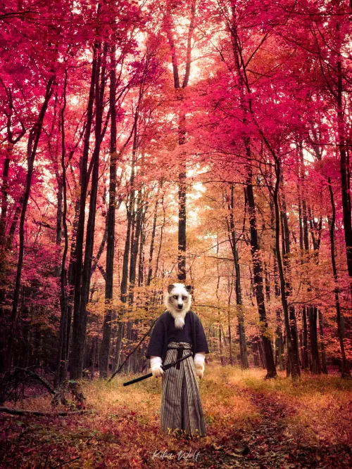 The Journey Begins (photo by me) by kibarinwolf