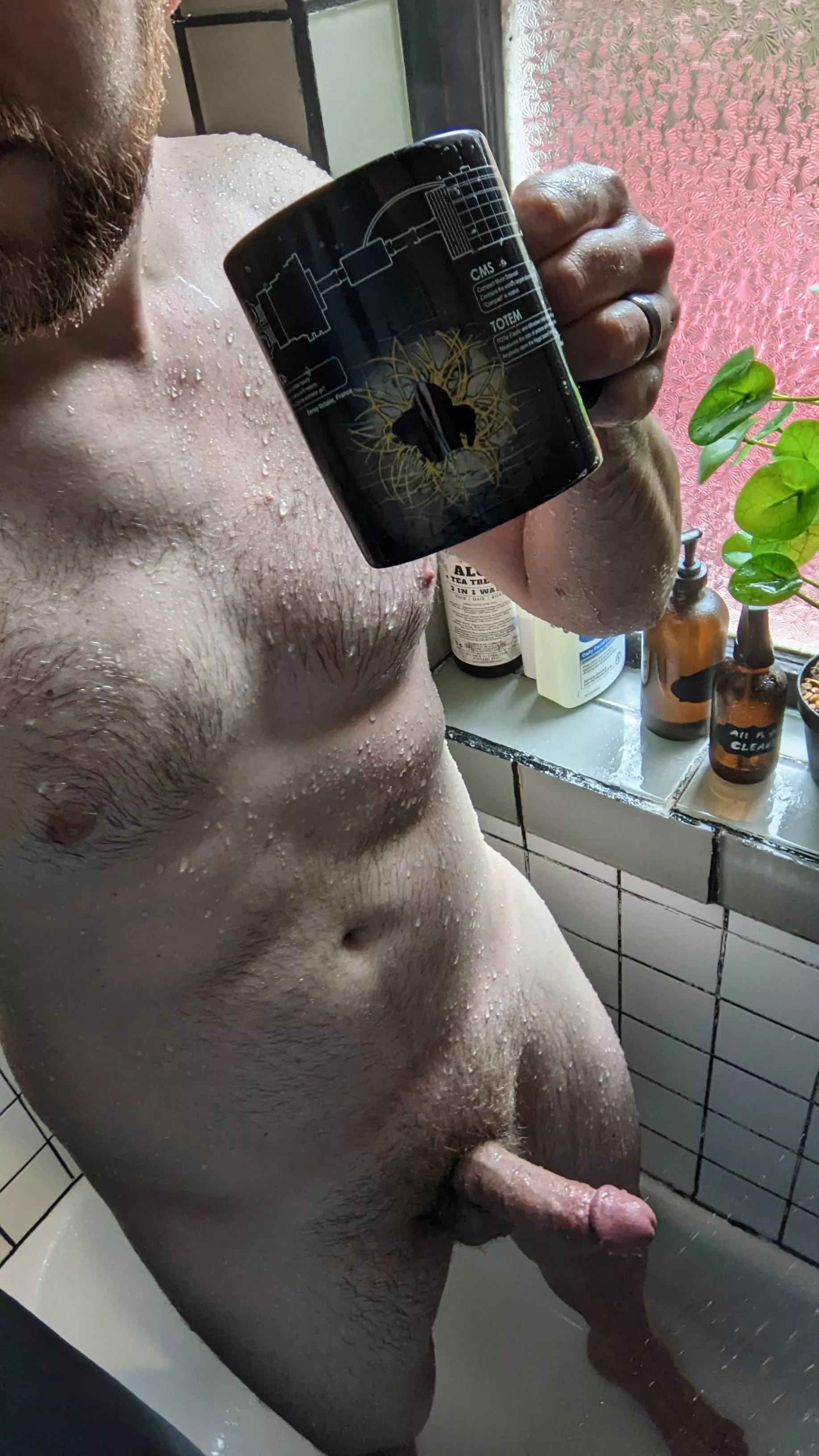 The Light through my window and a warm cup of coffee is a whole shower vibe. posted by Internal-Pickle-6707