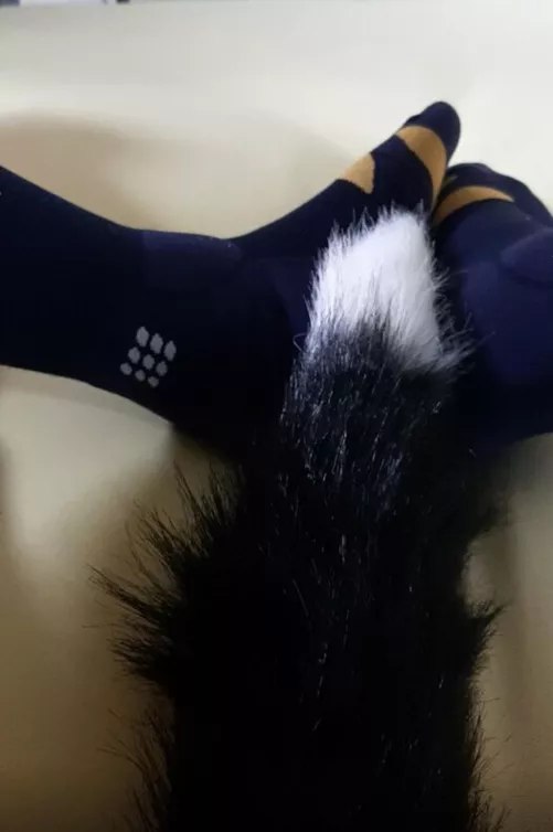 The little fox by NearbyDonkey7481