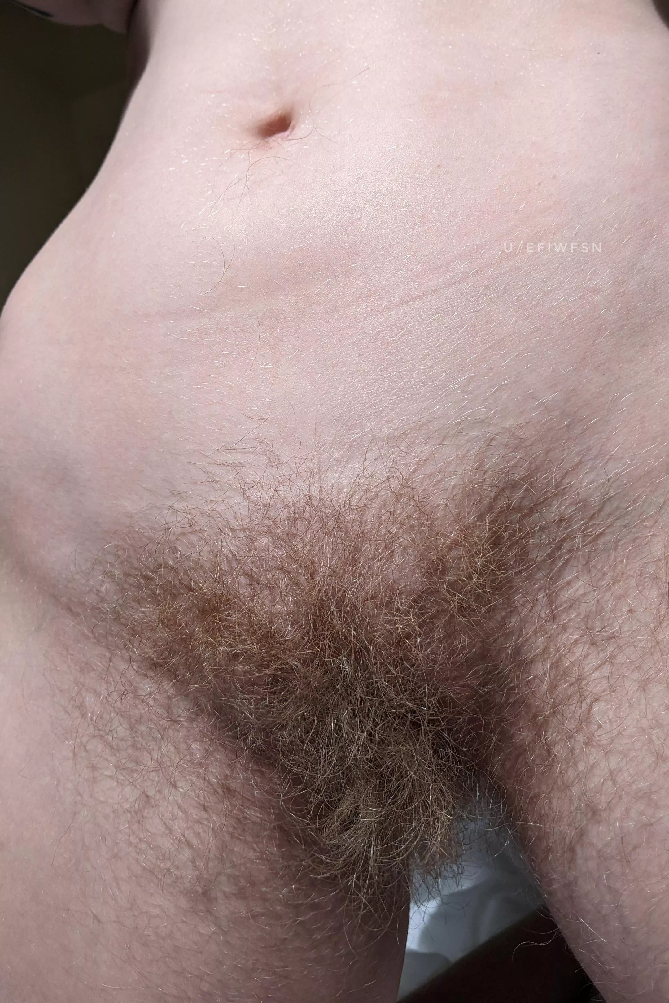 The more hair the better! posted by efiwfsn