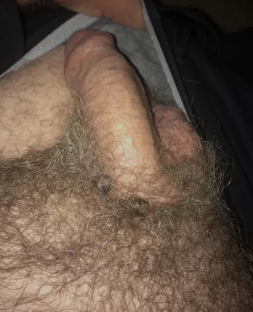 The musky manly smell of hairy uncut cock and balls by manfunklover