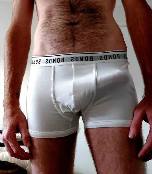 the outline by someTallguy11