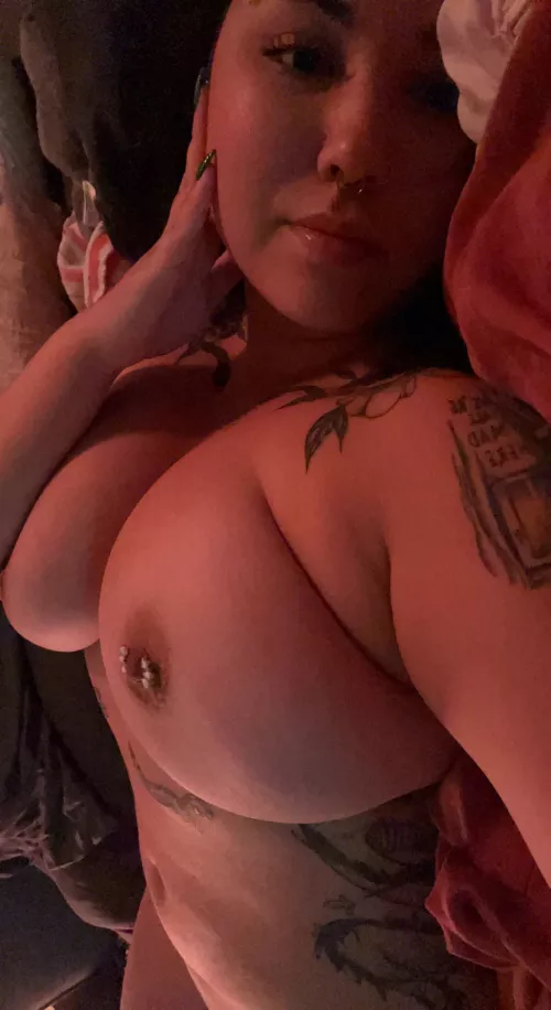 the pillows are fluffed and ready for you by Bittercupbae