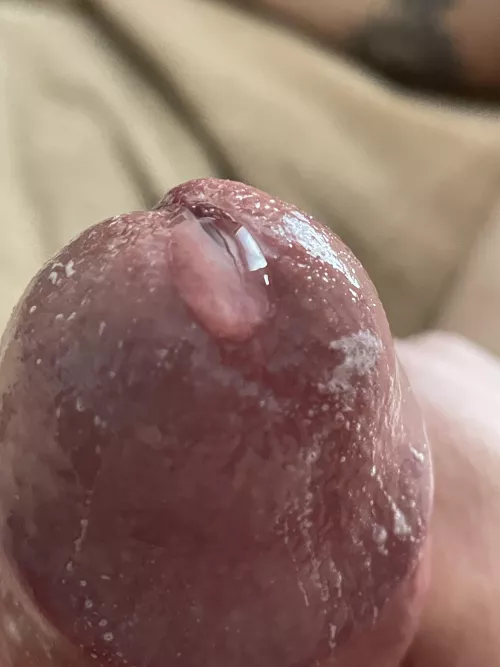 The pre-game by UhOh45