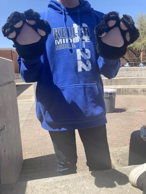 the previous one got taken down by snapcircut