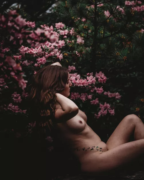 The rhodo’s are out and so am I :P by Fartfishes