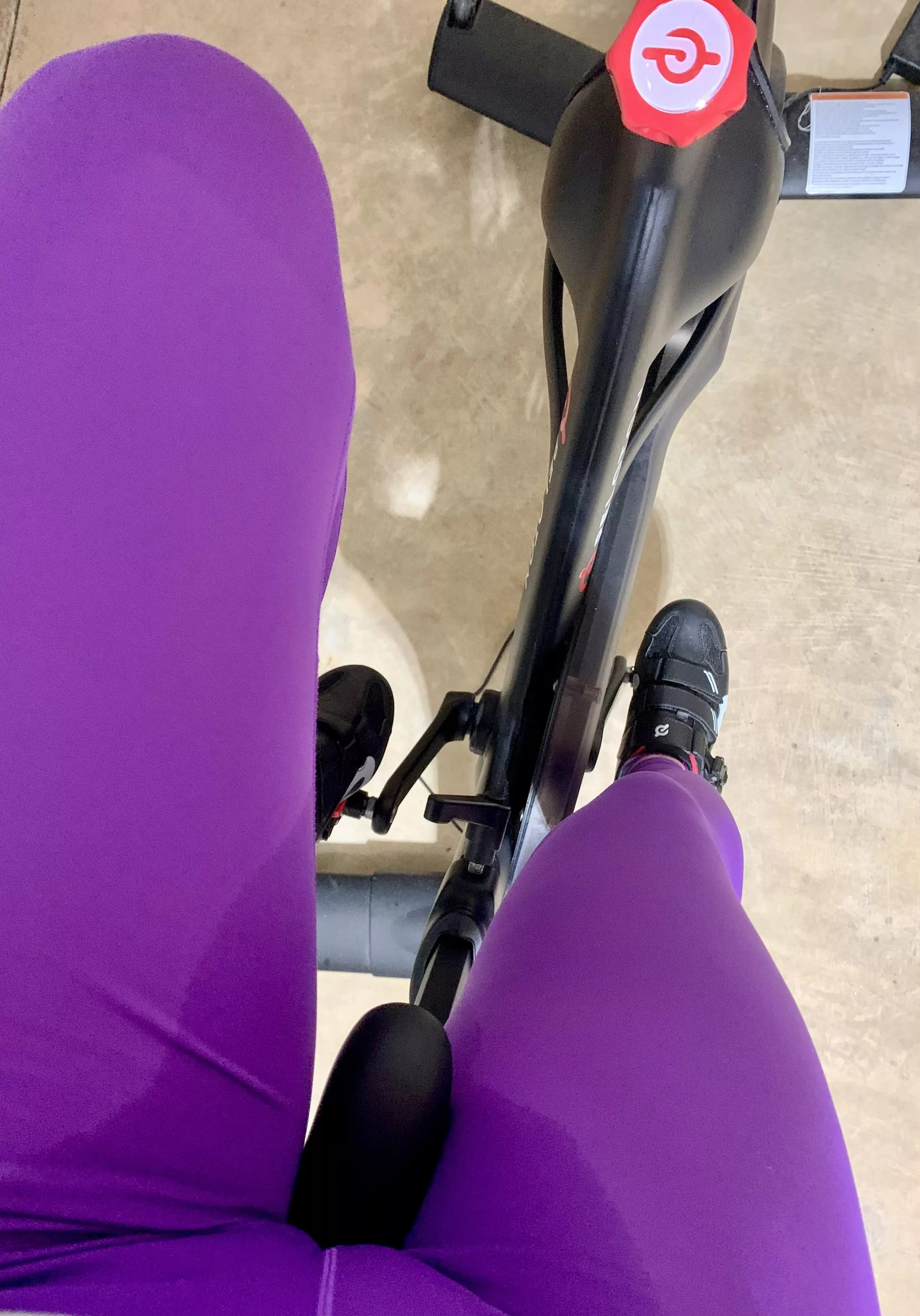 The 🐫 row is sweaty today! posted by Werenextdoor