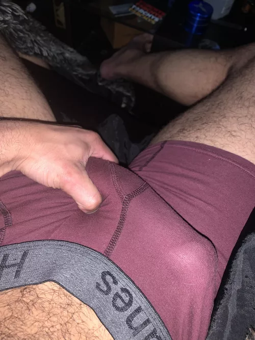 The shape by Beginning-Coat-2178