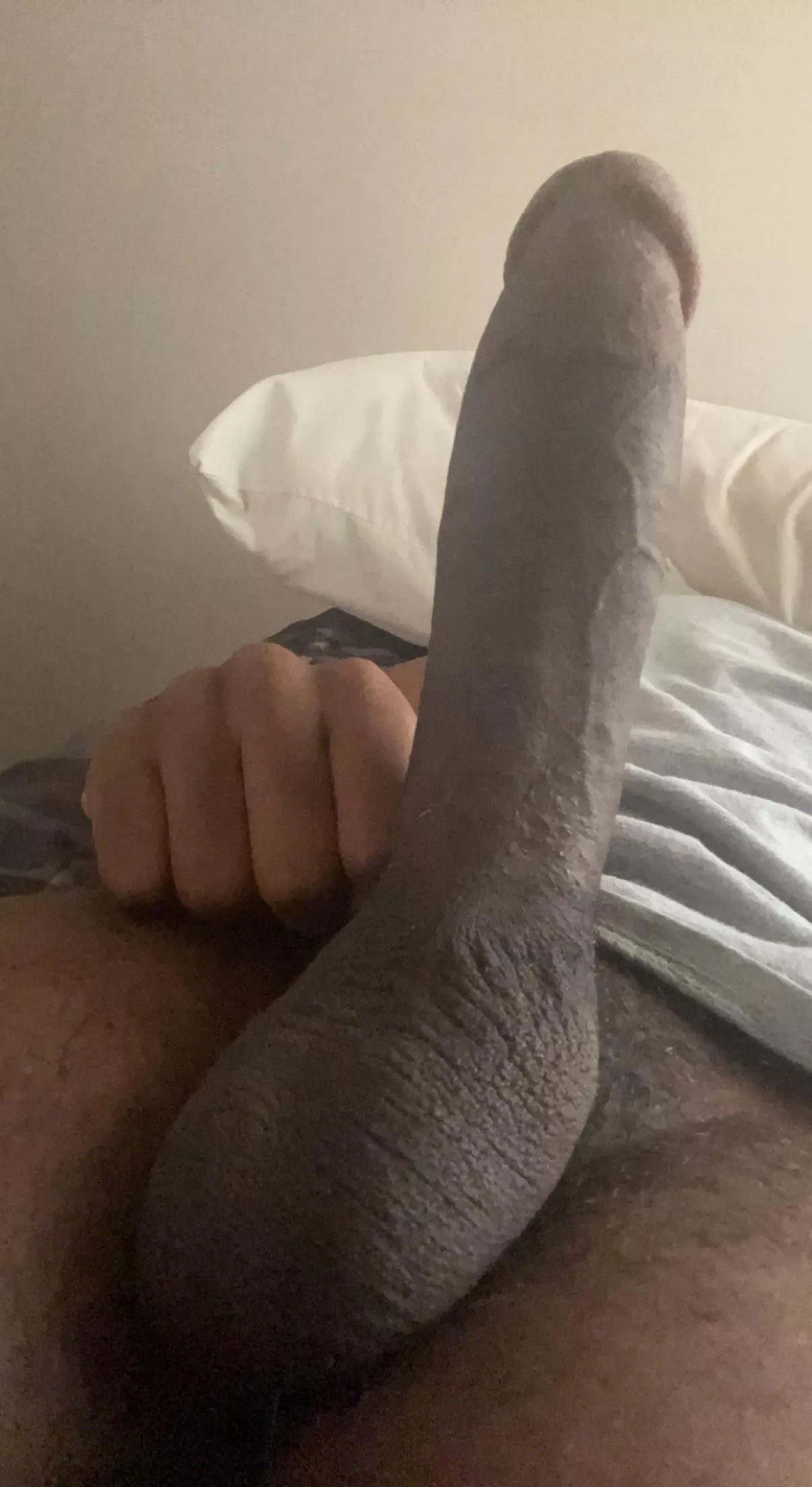 The sooner you accept your place the sooner you get to feel me cum deep inside of you posted by Dante_NeroX