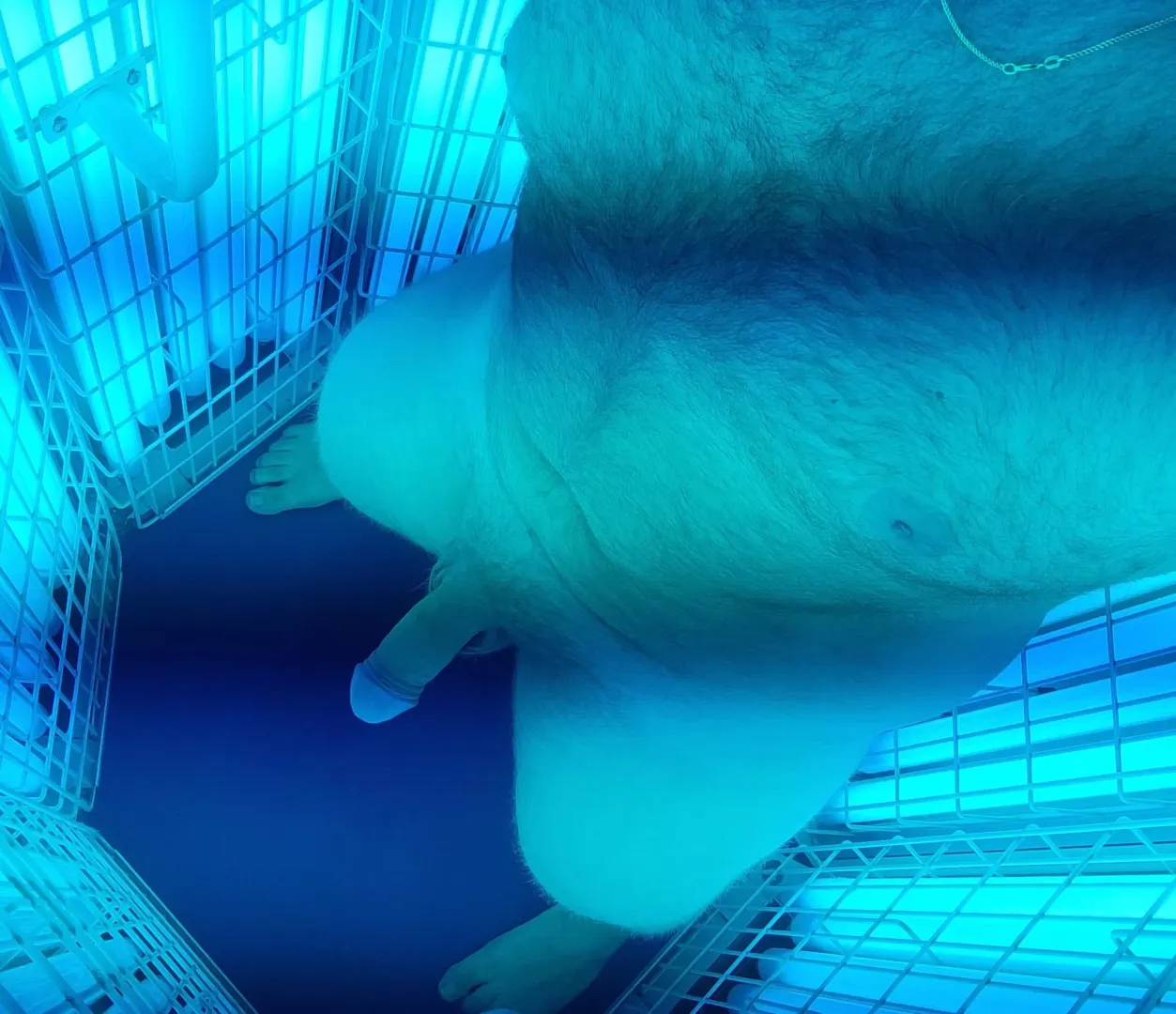 The stand up tanning beds have more room for activities, anyone want to join? posted by ButterscotchBadboy