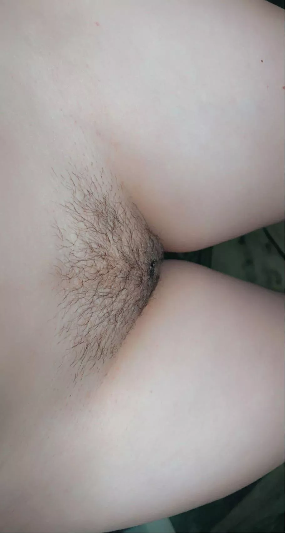 The start of something beautiful 😻 posted by blondebaby420_