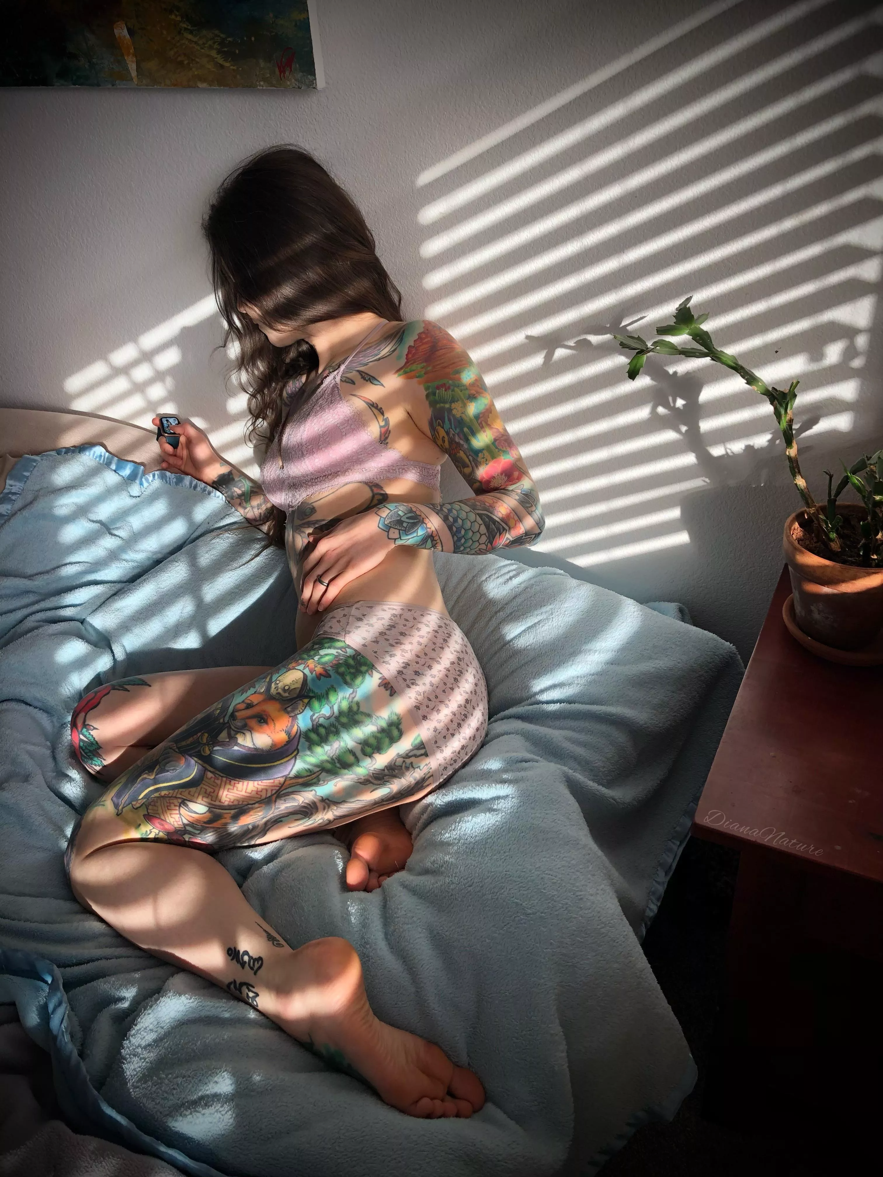 The sun was so lovely yesterday! I couldn’t help but lounge in bed while basking in it’s warm glory! [F] posted by DianaNature