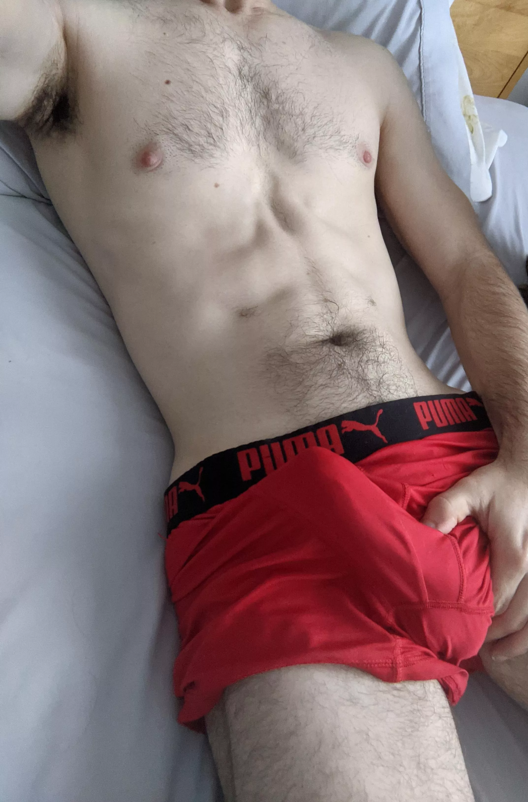 The type of showy morning bulge that keeps us in bed posted by Fitz-haraway5