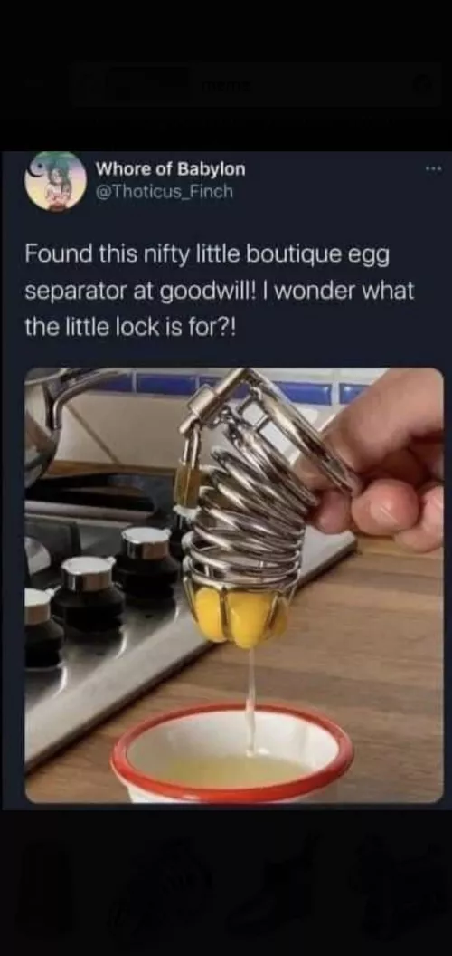 there is a cage free egg joke here somewhere by Embarrassed_Memory_3