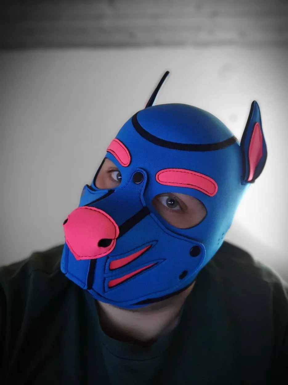 There is a new puppy around 🐶 posted by realkuebite