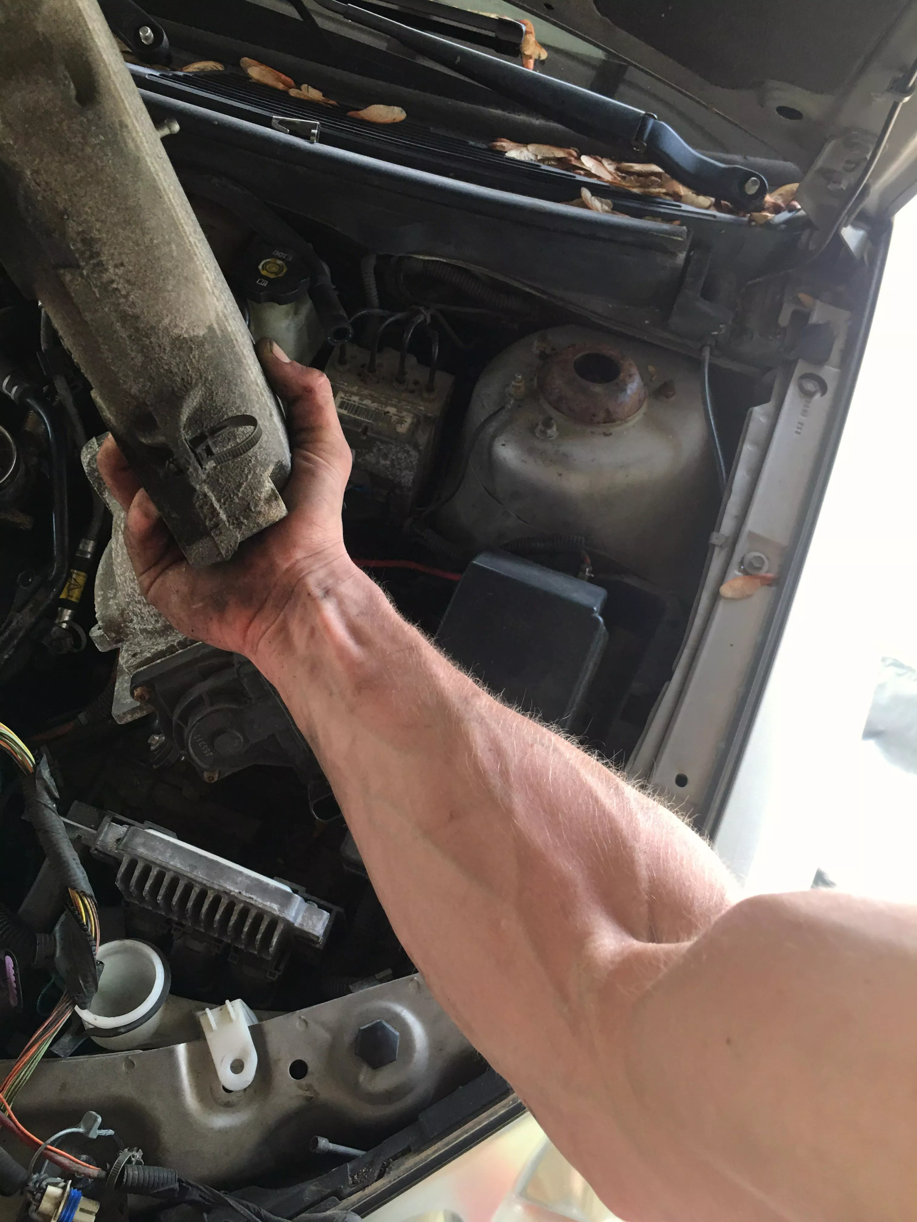 There’s a difference between working out and working. posted by Foxden_dreams13