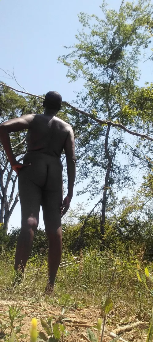 There's a little bend at the clearing by PferdChill