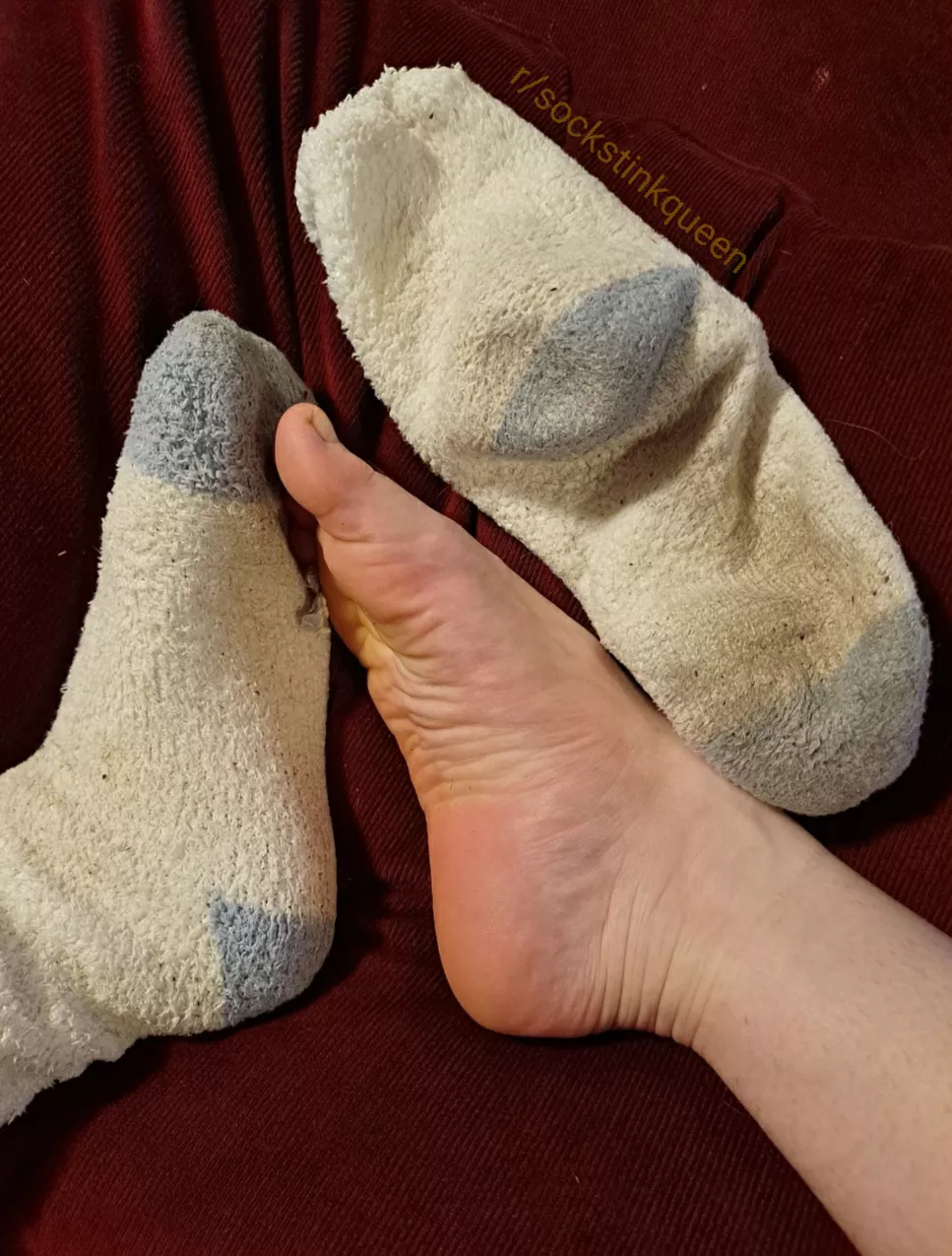 These fuzzy socks only lasted 4 days; can you last longer? posted by SockStinkQueen
