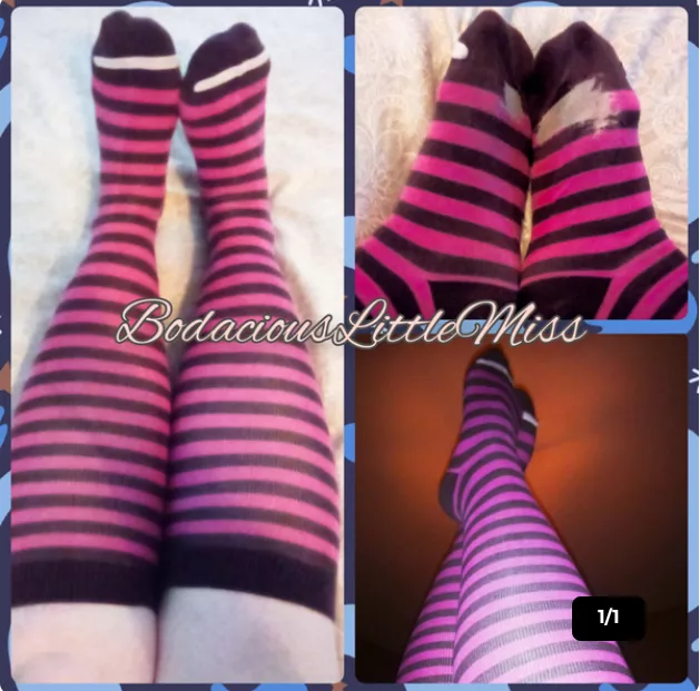 They are getting old, but they are still cute! 😘 posted by BodaciousLittleMiss