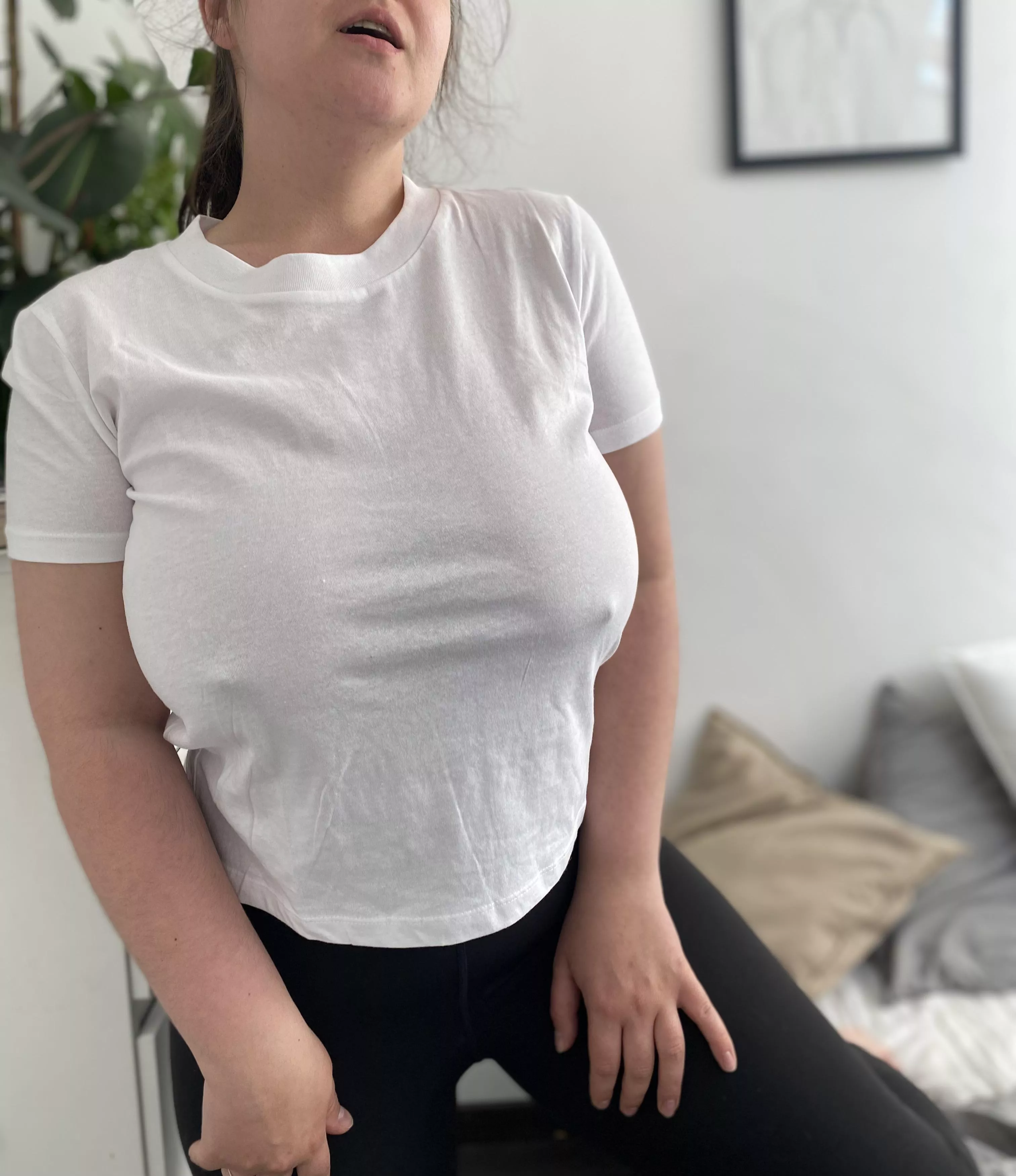 They are hard to hide posted by Max_Wife