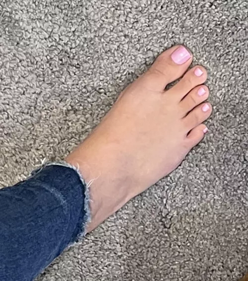 They need pampering by Alert-Worker-1985