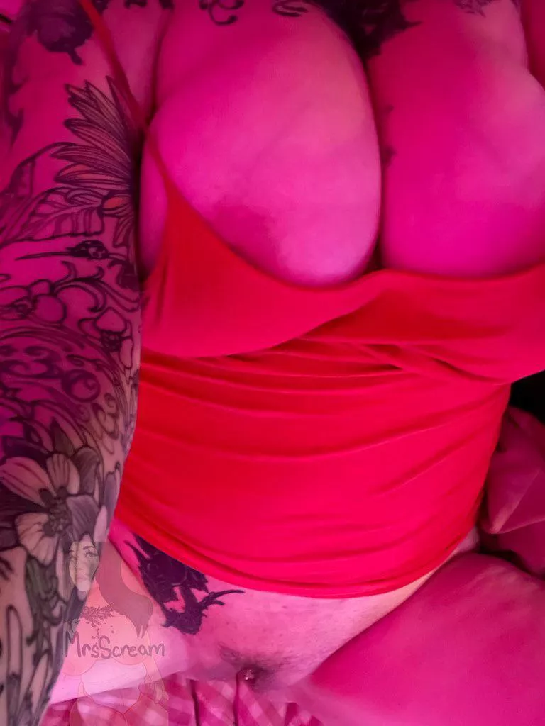 They want to say hello 😋 posted by Mrsscream