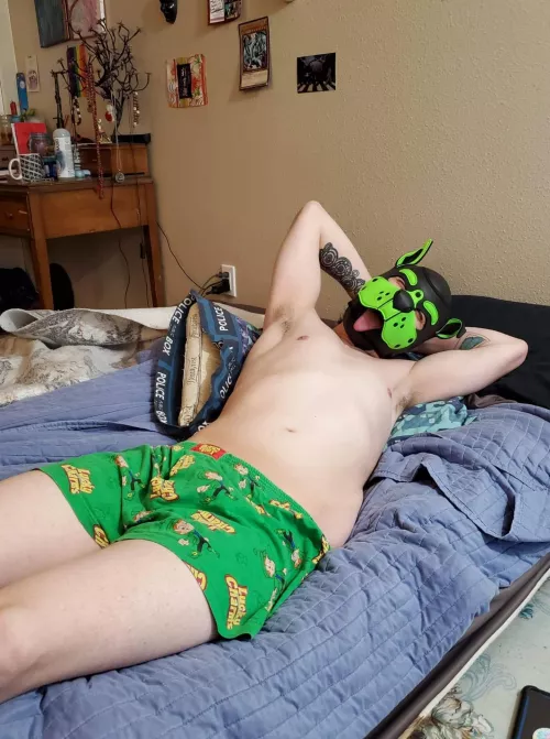 They're after me Lucky Charms ☘️ by DoodTheDoggo