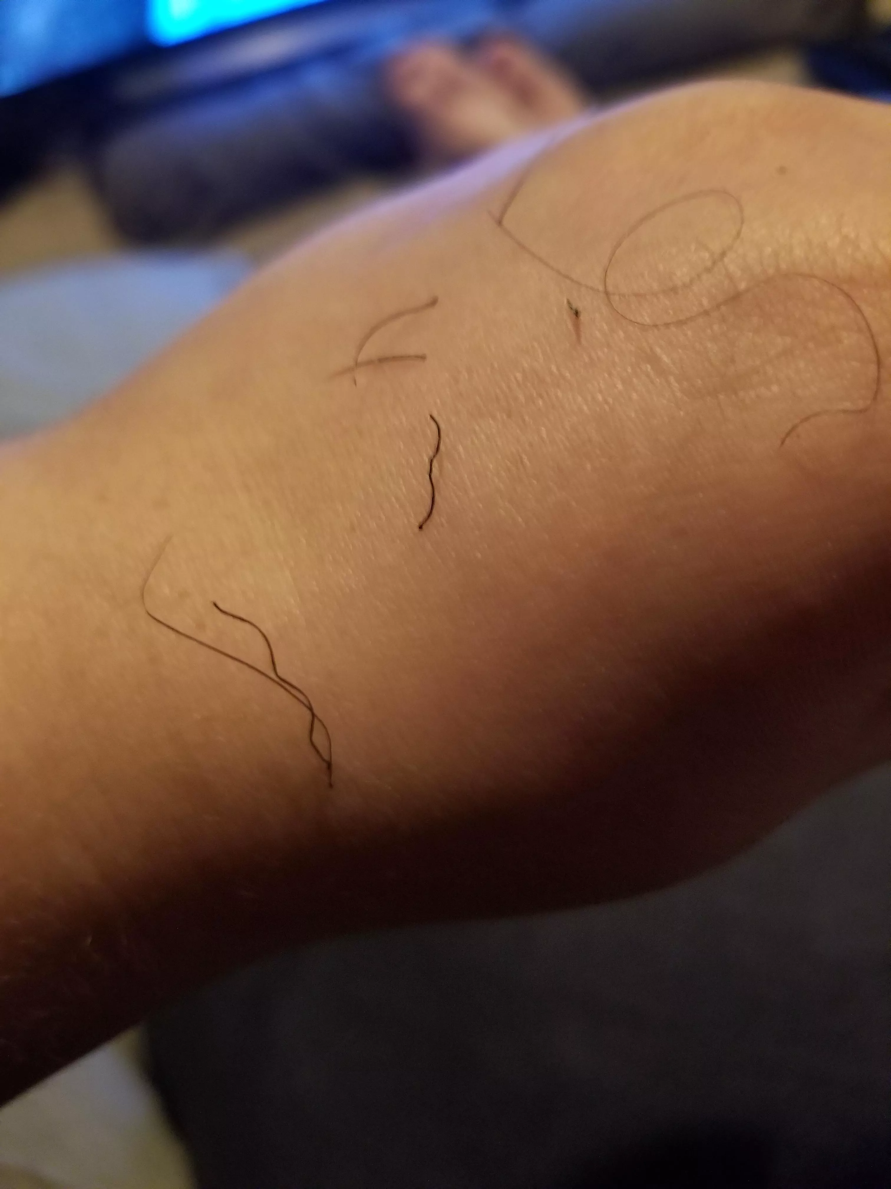 Thicc hairs from partners beard. I couldn't get a good angle to do a full beard sweep, but it satisfied for a bit. :) posted by DandiAndi25