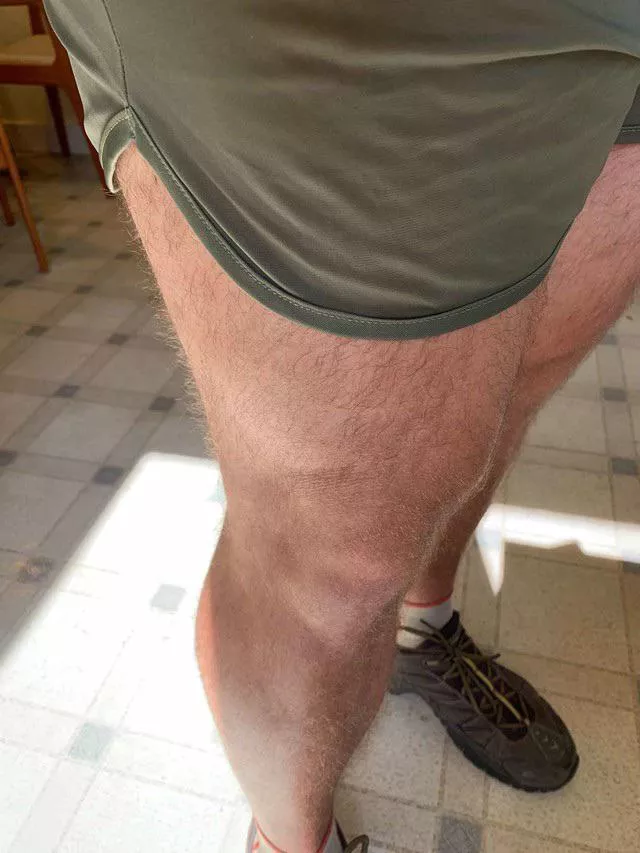 Thicc thighs save lives 💪😋 posted by TreeBearAlt