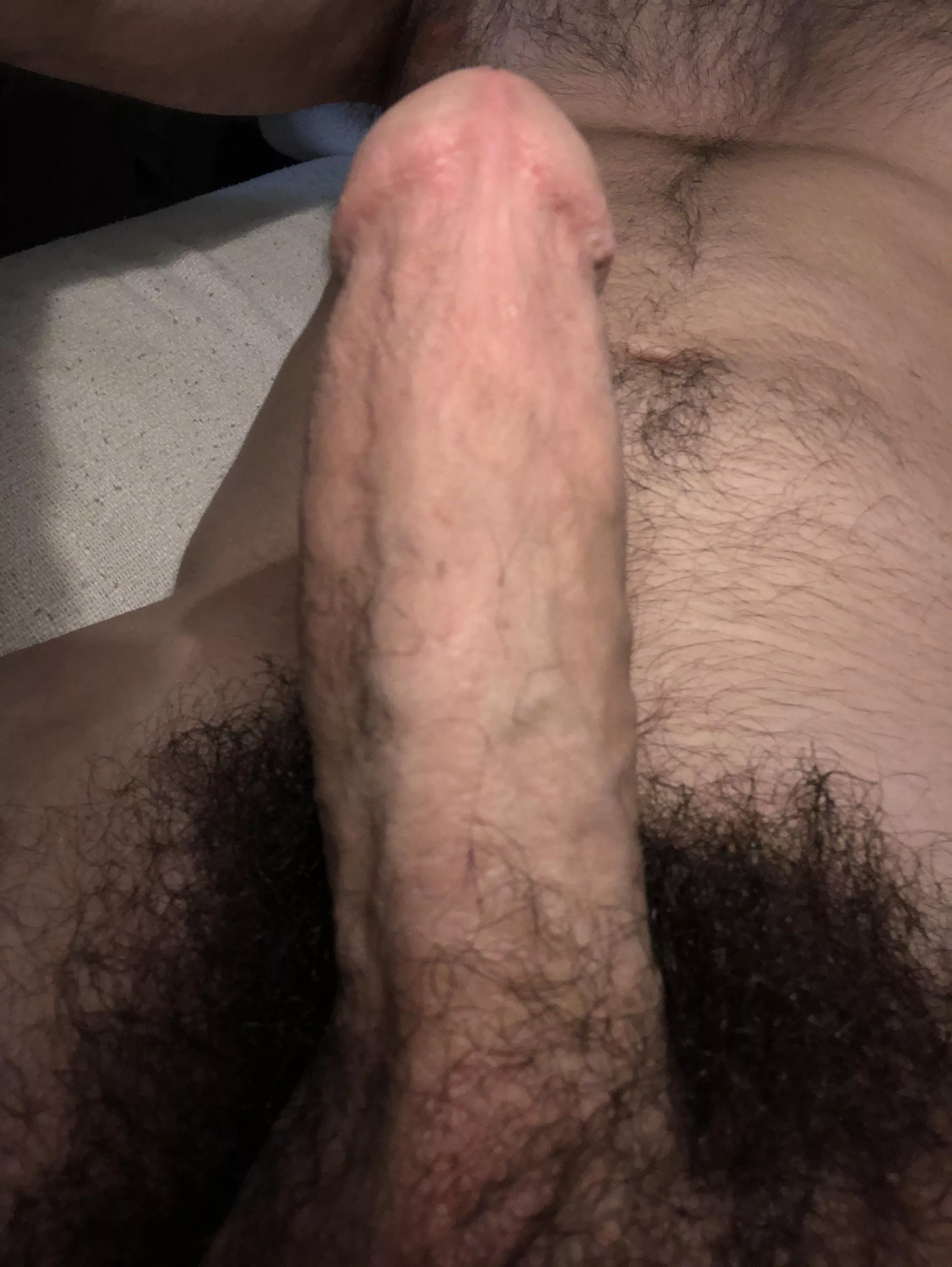 Thick and Bushy posted by ThunderFuck690
