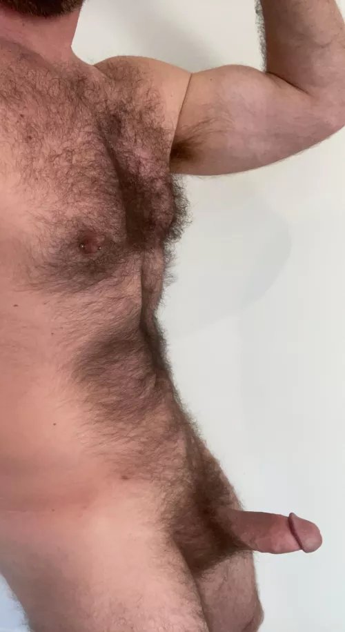 Thick bush, thick cock (42) by bigdversguy