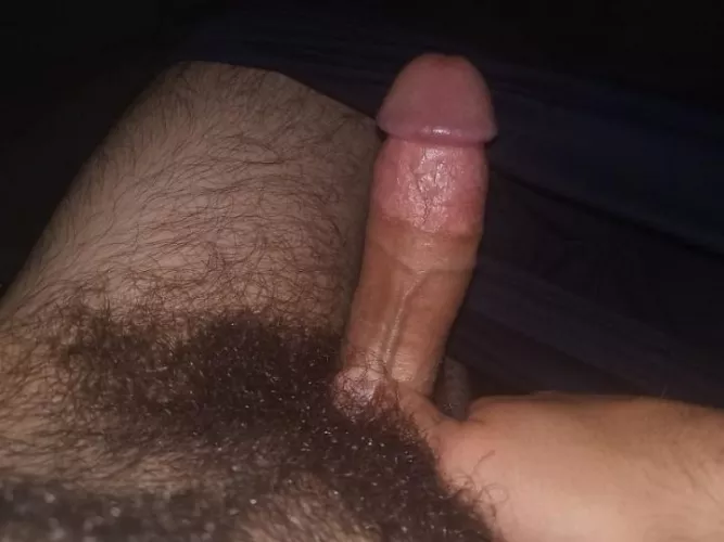thick cock thick bush 😋 by oof6382