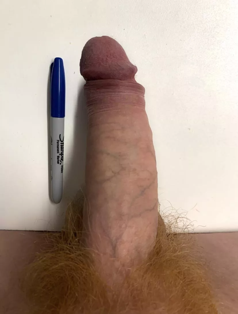 Thick, Uncut, Veiny.. and a Sharpie for perspective…Straight M4F posted by llocksmith