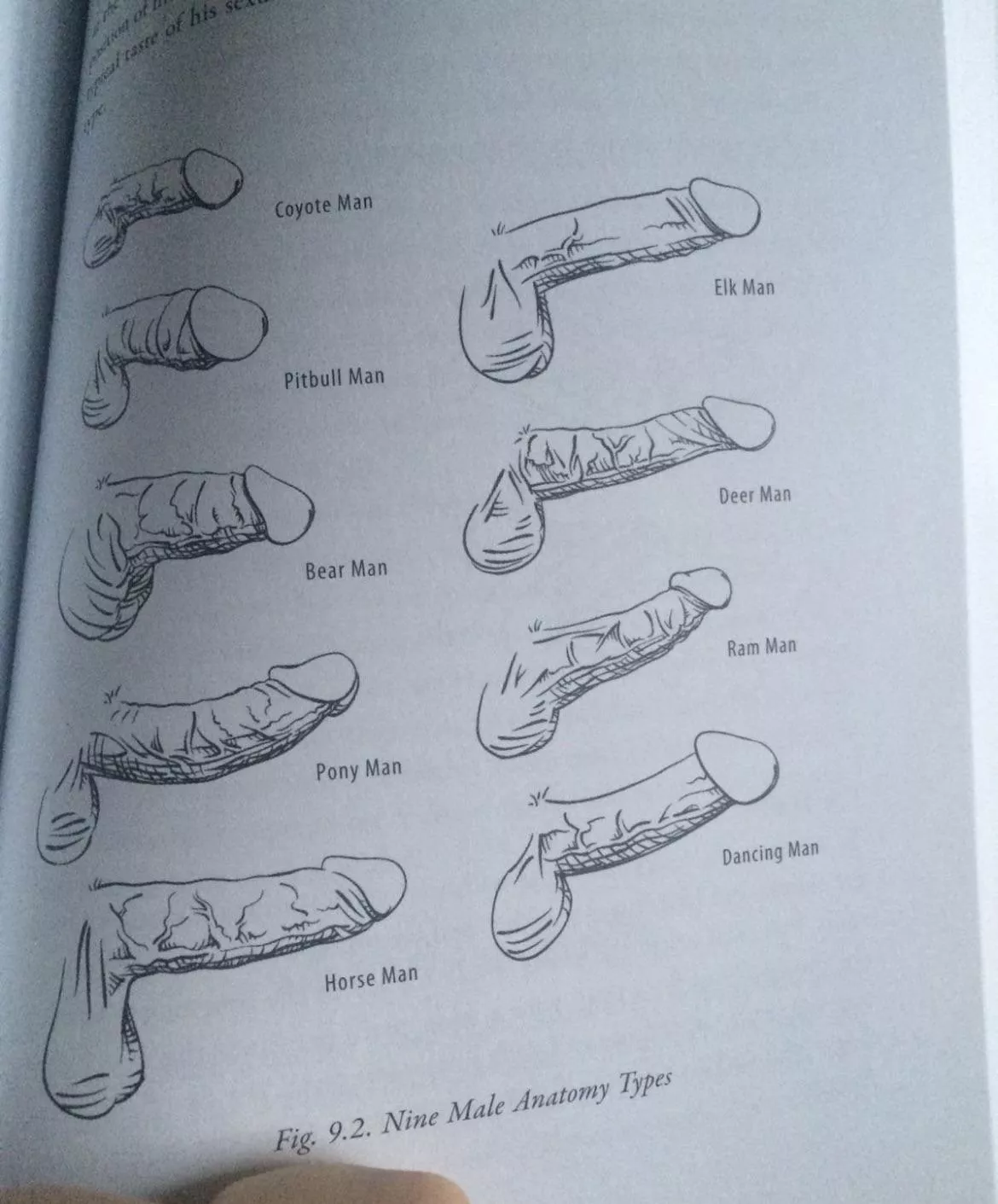 Think I’m a pit bull. What are you? Let’s compare and find out posted by Angels4927