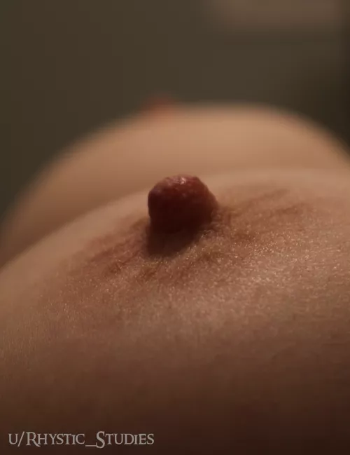 Thinking of you all looking at my posts makes my nipples so hard by Rhystic_Studies