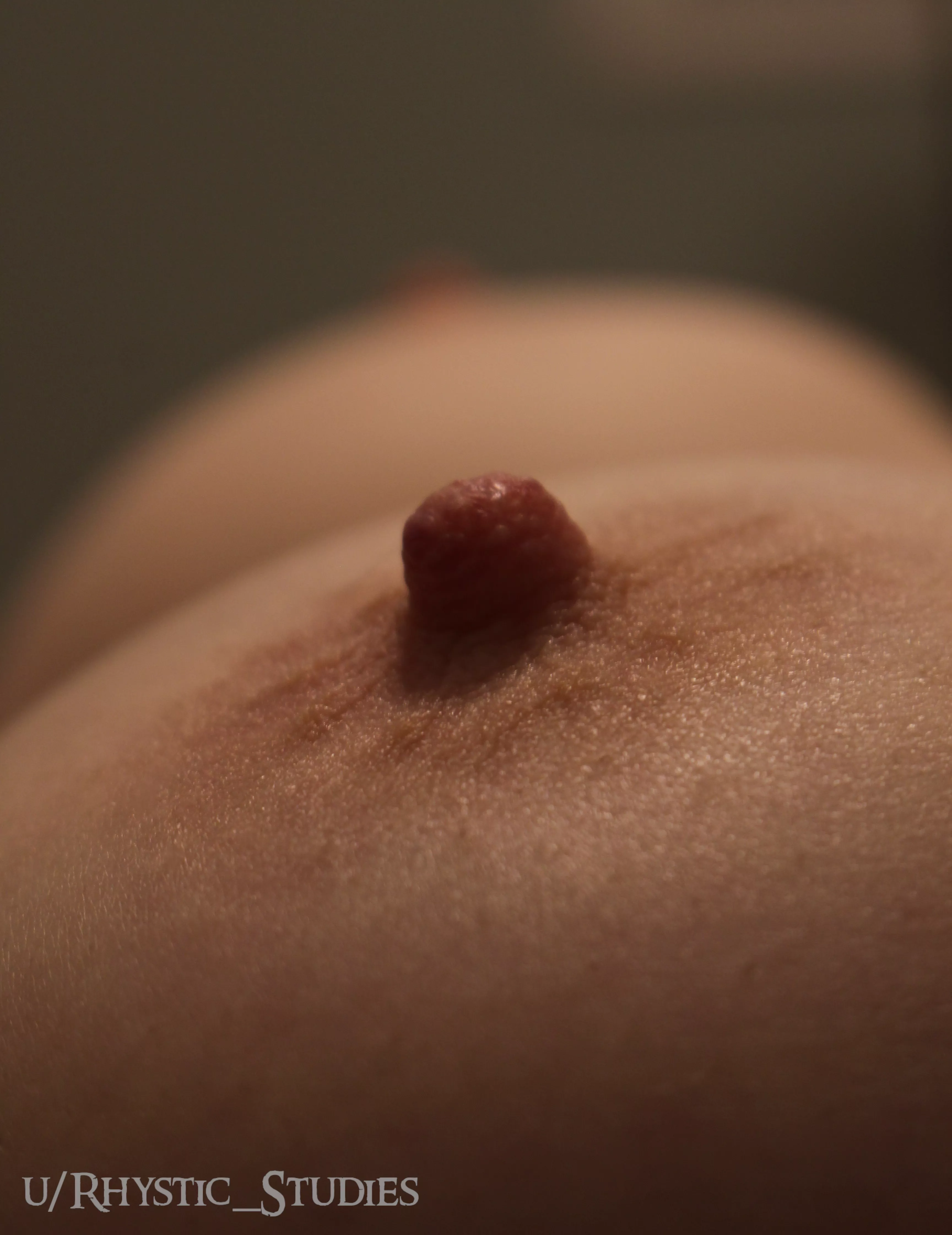 Thinking of you all looking at my posts makes my nipples so hard posted by Rhystic_Studies