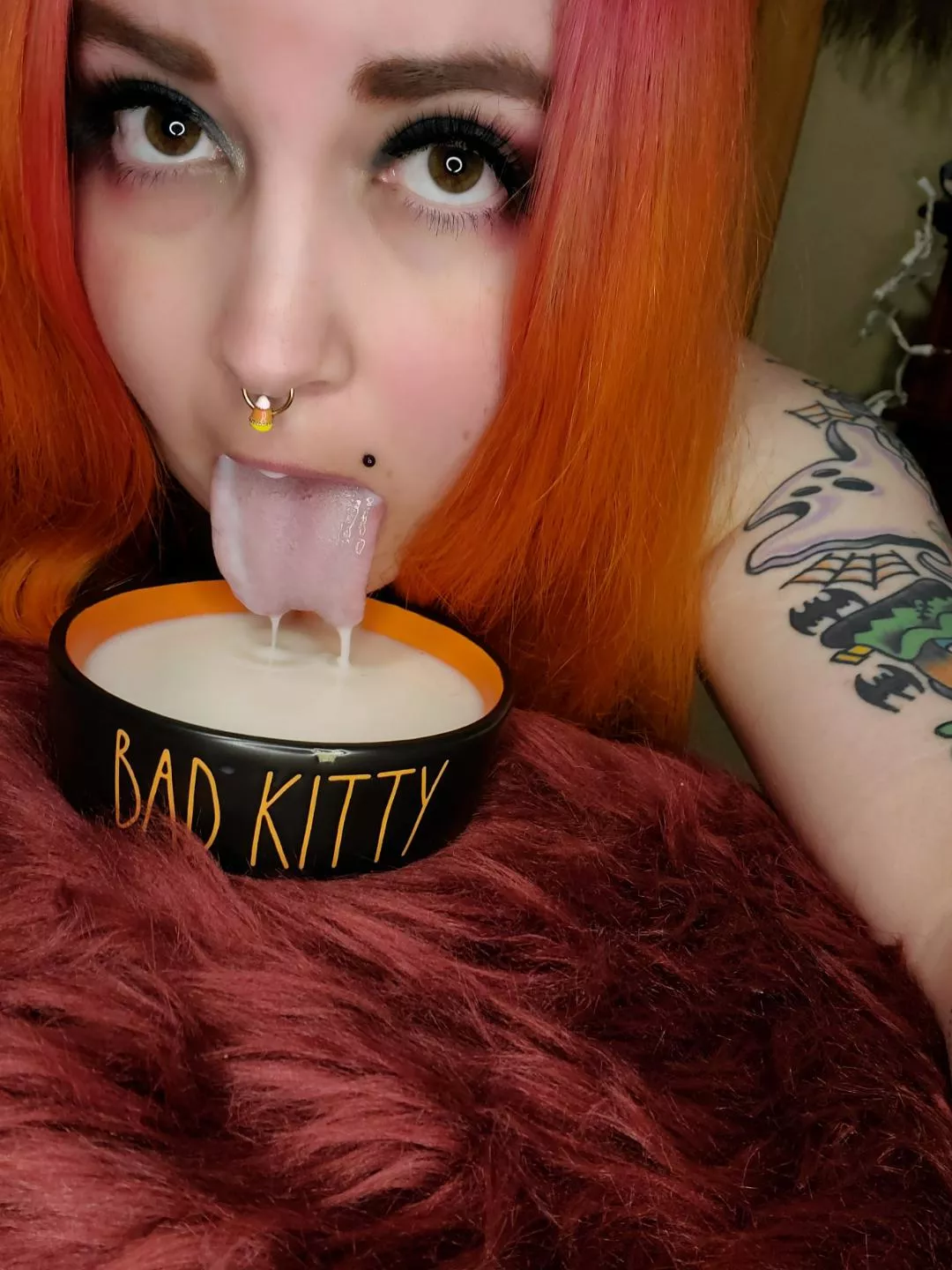 Thirsty Kitty posted by Absinthe_DeVille