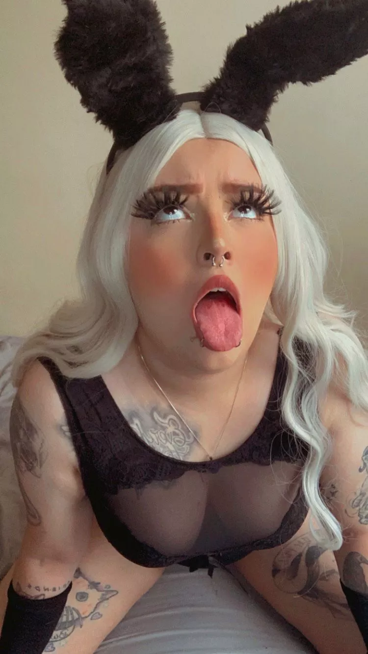 this bunny wants chocolate posted by ellabarsuicide