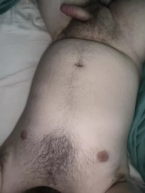 This Canadian bear is looking for a player 2! Dm me! 23 by CACub98
