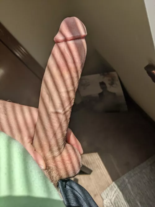 this cock deserves to be admired by droppedmyson