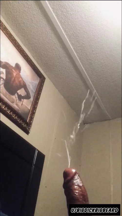 This could’ve been in your mouth or pussy but…. by Bigdickbigbeard