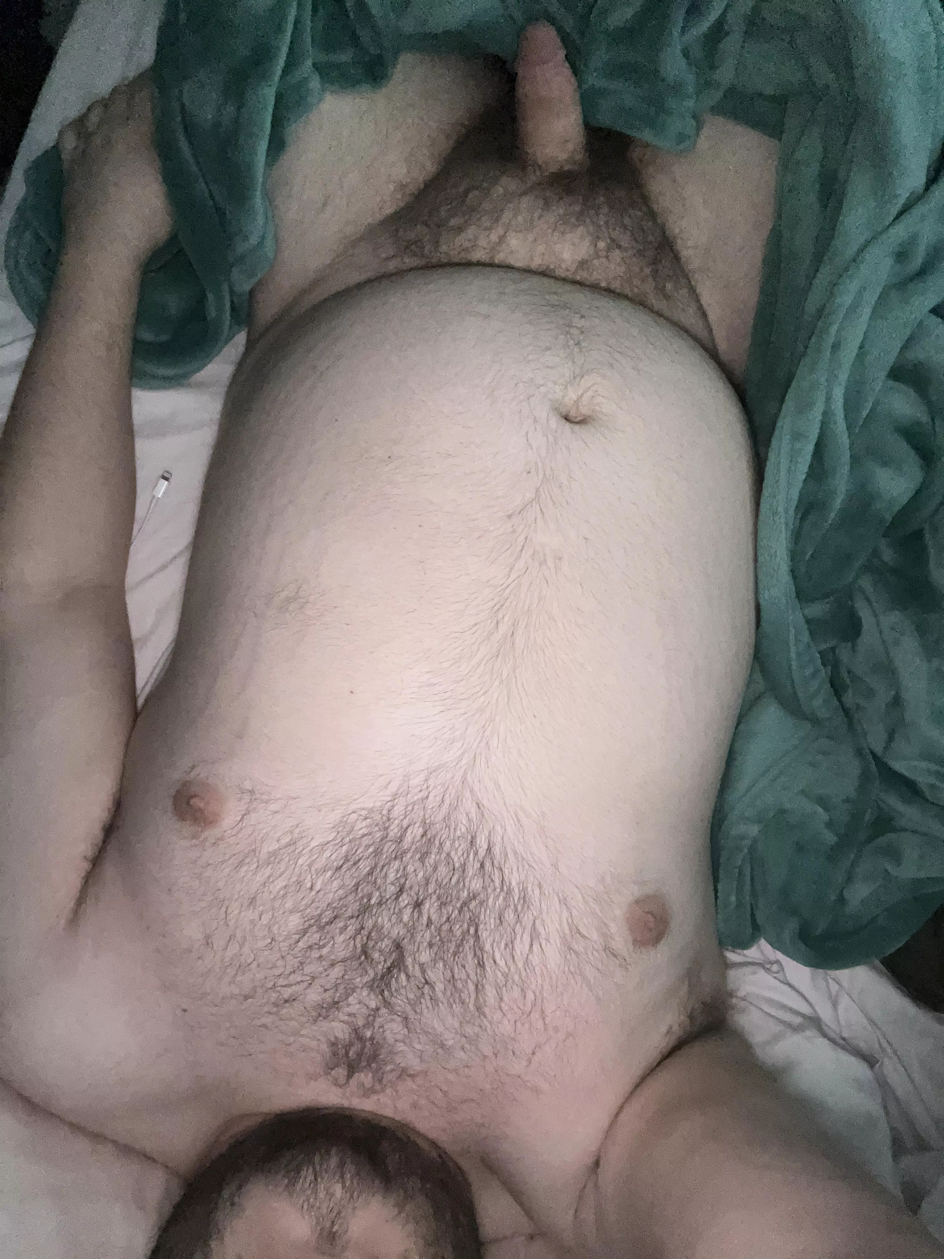 This cub needs some company posted by CACub98