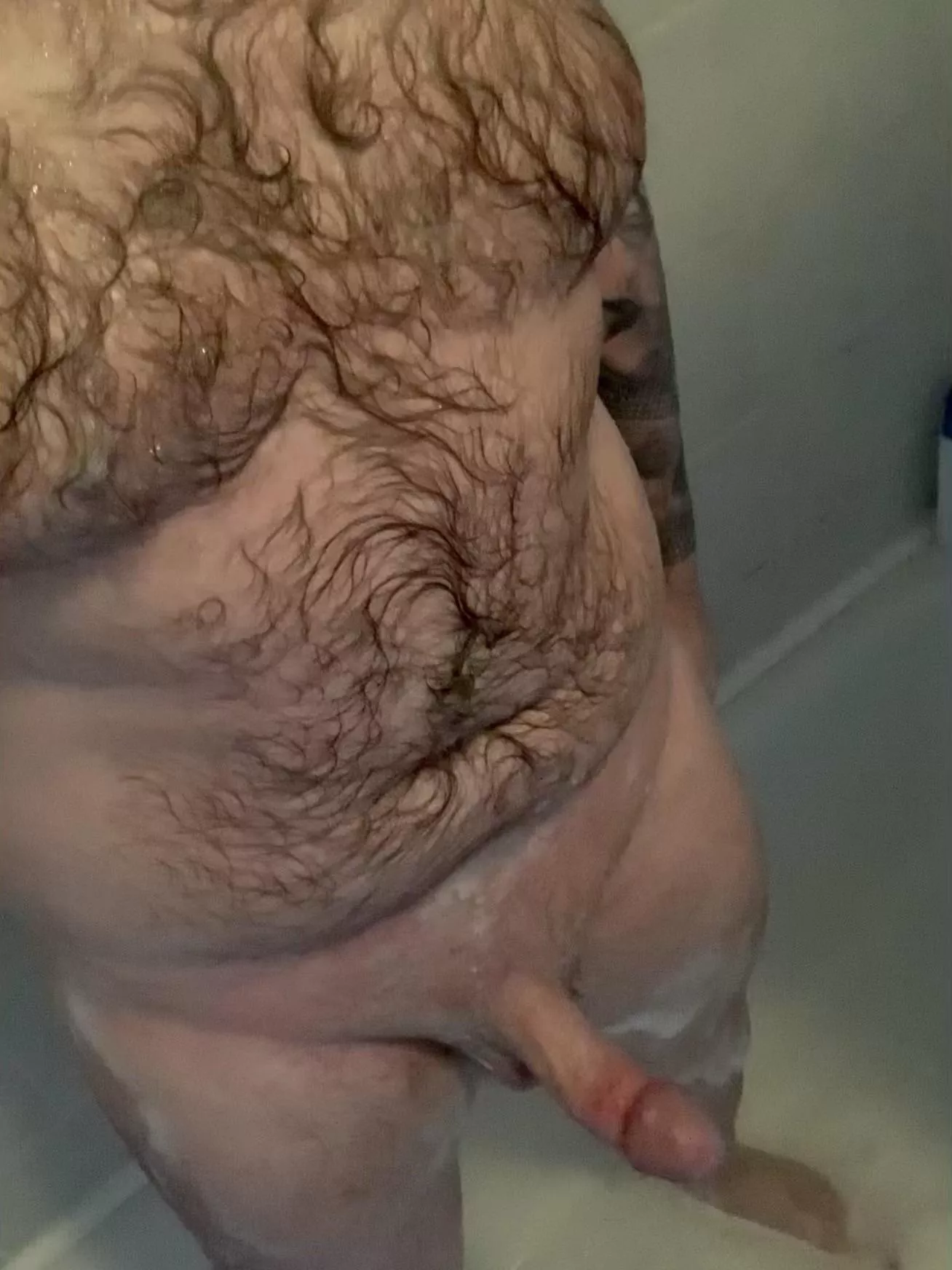 This hairy beef needs a cleaning down. . posted by TheHairyBeef