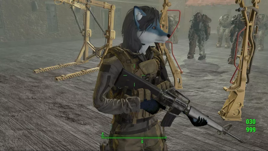 This is a mod in fallout 4 called the vulpine race by C4I4mlty