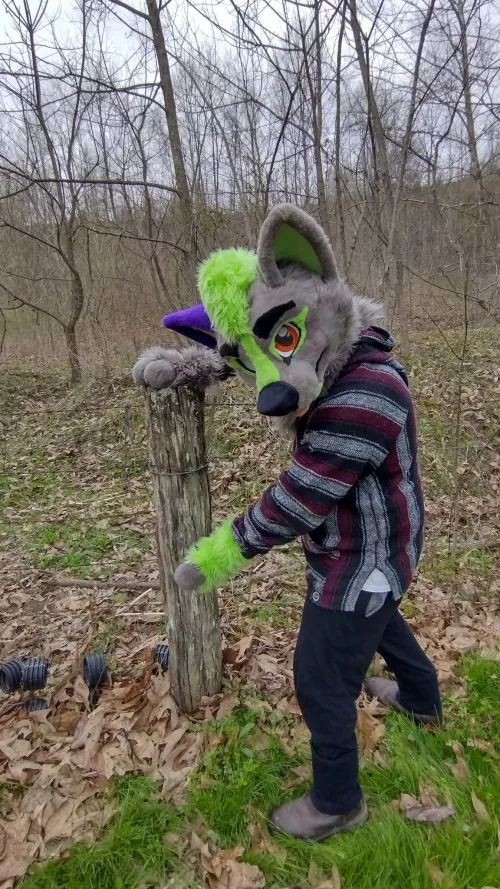 This is a post by Spector_wolf