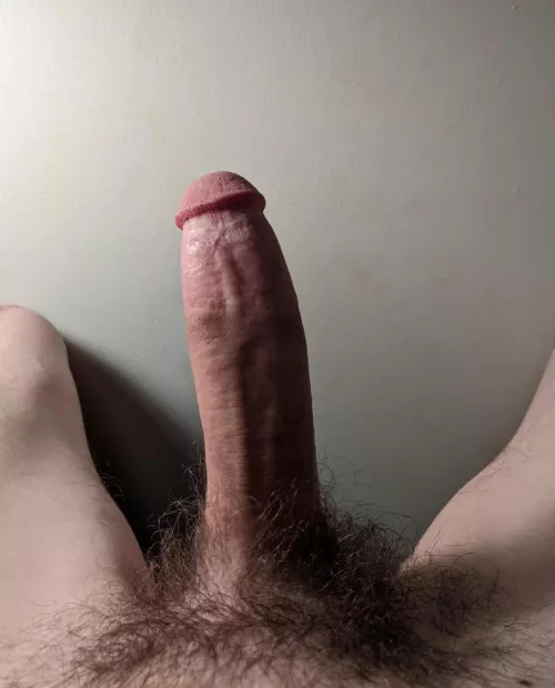 This is a seat fit for royalty. Come use it? 😏 by lick1tall