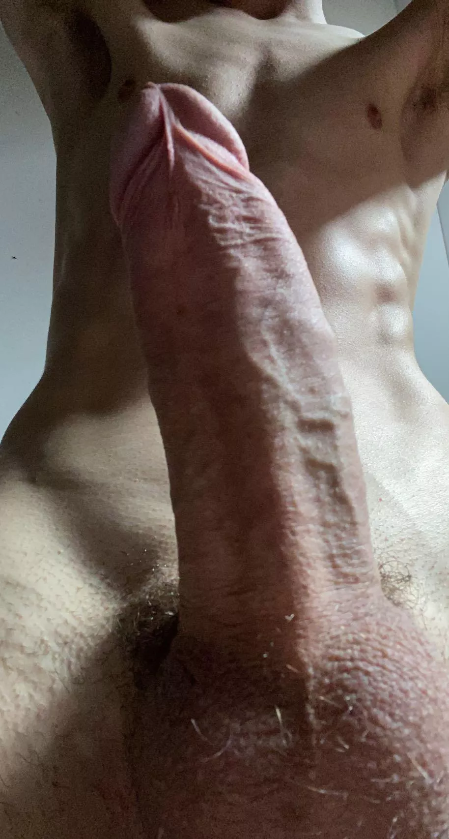 This is the best view right? posted by Life_Pound_6862