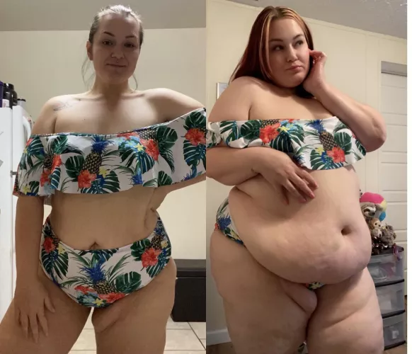 this is what happens when you’re a greedy lil piggy! by NannyNarwhal