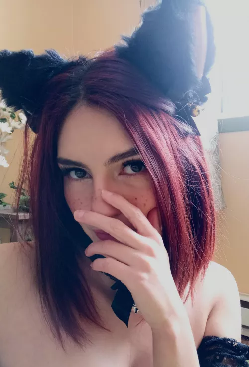 this kitty need a new master by Extreme-Bird5938